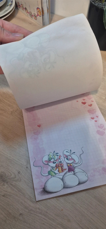 Carnet de feuilles diddl - photo numéro 3
