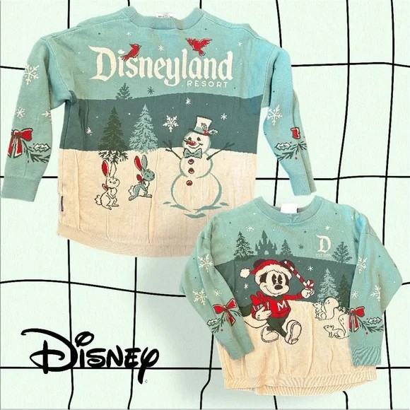 disneyland 🎄 spirit jersey 1