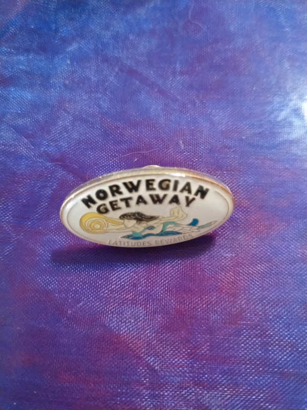 Beautiful Norwegian getaway lapel pin 1