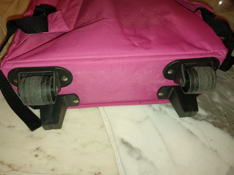 Gruppo alcuni Cuccioli zaino trolley rosa 3 tasche 3