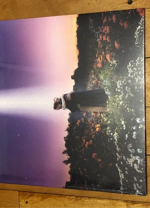 Honne – Let's Just Say The World Ended A Week From Now, What Would You Do? Vinyl LP New Sealed, condition: Like new, £9.99, £11.19 includes Buyer Protection