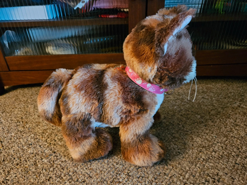 Build A Bear Promise Pets Brown Tabby Cat 4
