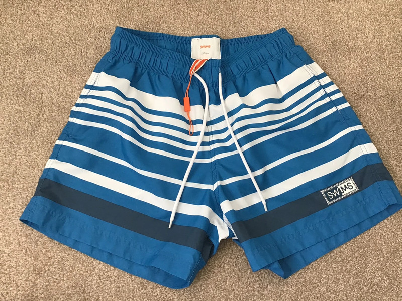 Mens SWIMS Swimming Shorts Striped Blue White M Holiday | Vinted