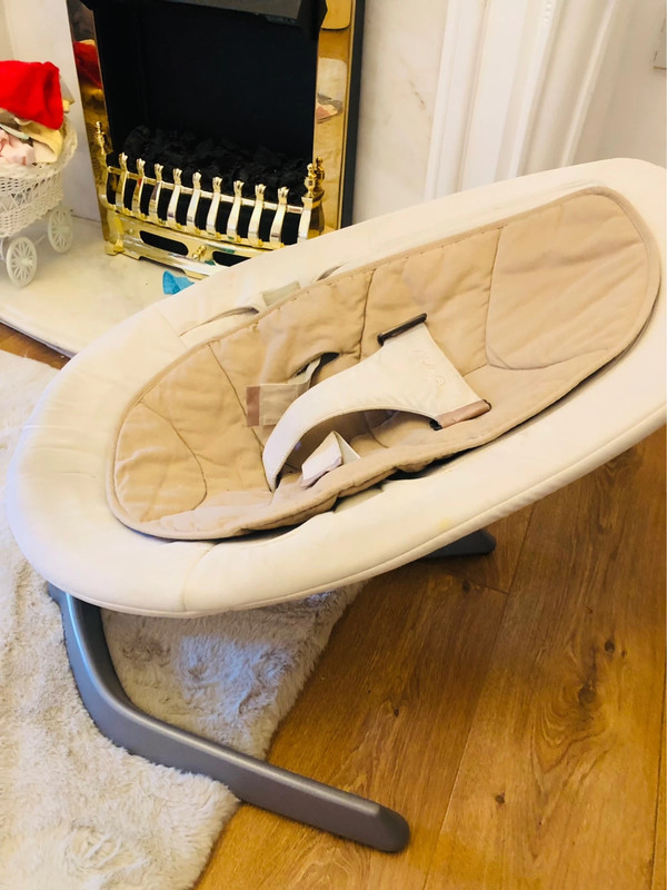 Leaf baby rocker 2025