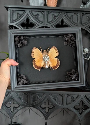Deko Bilderrahmen Trockenblumen Käfer Flügel Schmetterling Gothic Vintage Brosche, marque: Alternative, état: Très bon état, 45,00 €, 47,95 € Protection acheteurs incluse