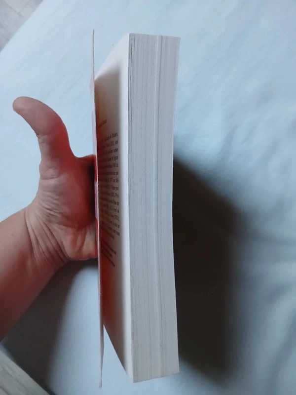 Sœurs, Bernard minier - photo numéro 3