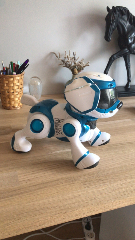 Chien robot jouet pour enfants