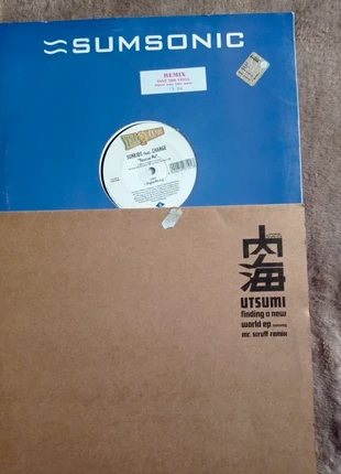 Lotto 10 used electronic music vinyl records, état: Bon état, 20,00 €, 21,70 € Protection acheteurs incluse