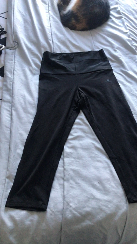 Panta cour noir