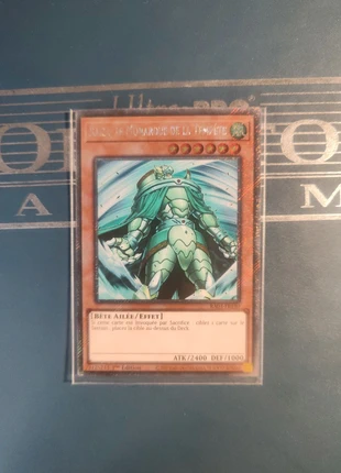 Raiza,Le Monarque De La Tempête, marque: Yu-Gi-Oh!, état: Neuf sans étiquette, 1,00 €, 1,75 € Protection acheteurs incluse