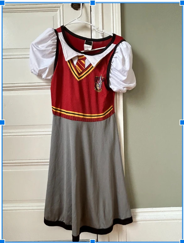 Gryffindor Halloween Costume