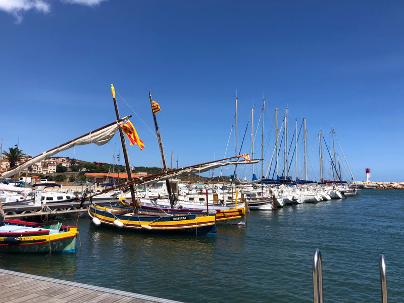 Trench homme discount brice