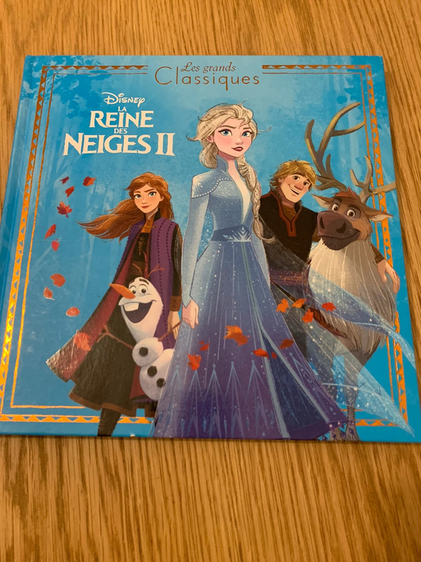 Livre : La Reine des neiges II