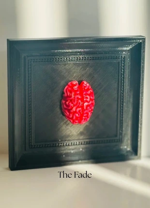 Resin Brain Wall Art Framed Red Sculpture on Black Canvas, brand: NO LABEL, condition: New without tags, £26.00, £28.00 includes Buyer Protection Pro