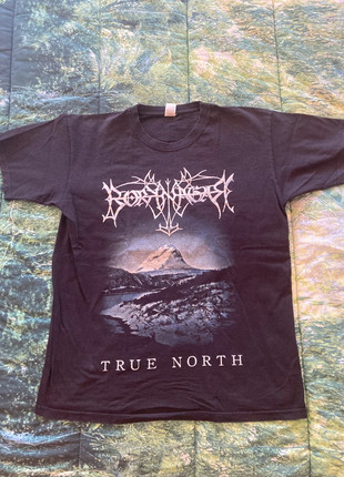 T-shirt rare vintage black folk metal Borknagar, marque: Fruit of the Loom, état: Bon état, taille: L, 25,00 €, 26,95 € Protection acheteurs incluse