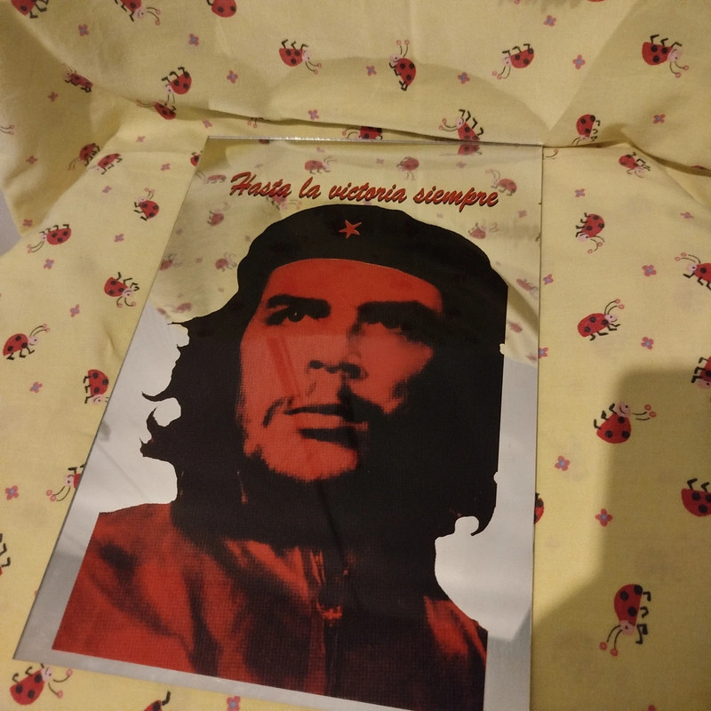 specchio con Che Guevara