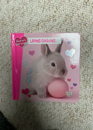 Livres lapins, condition: Very good, €1.00, €1.75 includes Buyer Protection