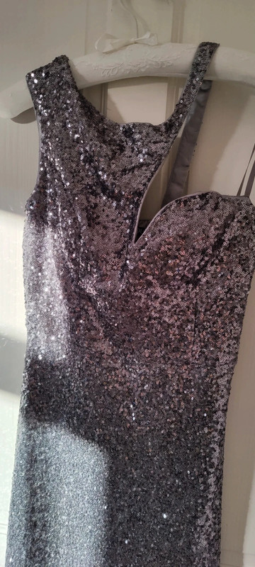 Quiz long silver sequin dress Vinted