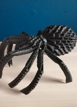 Zwarte spin, merk: Handgemaakt, staat: Nieuw zonder prijskaartje, maat: Universeel, € 5,00, € 5,95 inclusief Kopersbescherming