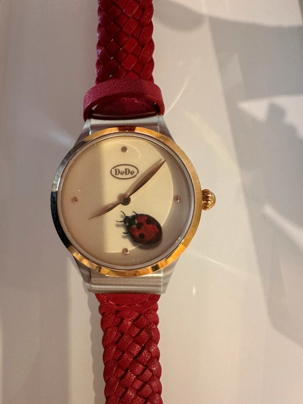 Orologio DoDo con coccinella 1