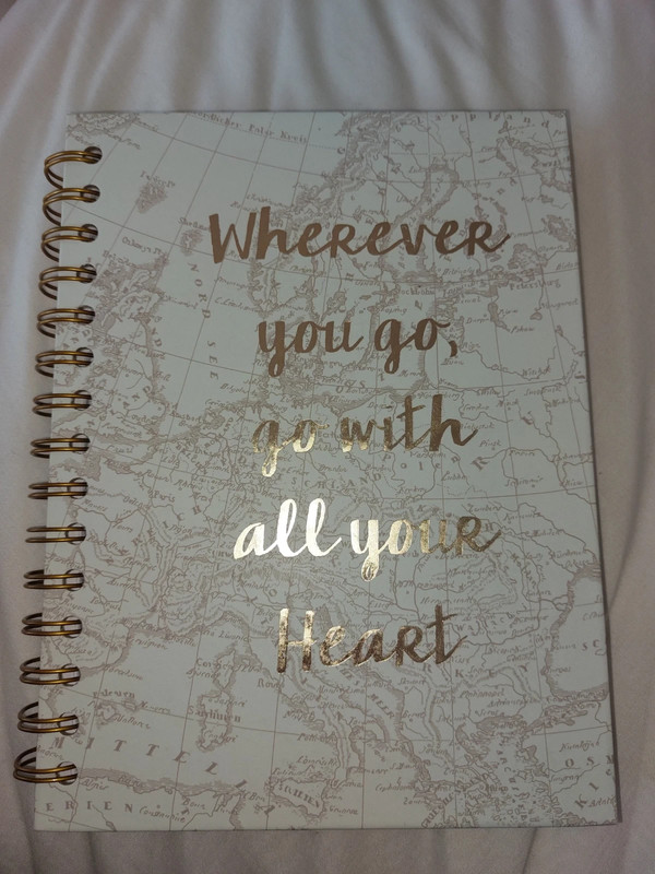 Like Gold - Handwritten Lyrics | Spiral Notebook