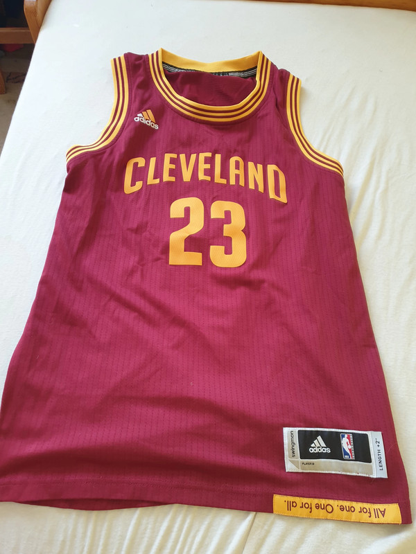 Maglia Lebron James - Vinted