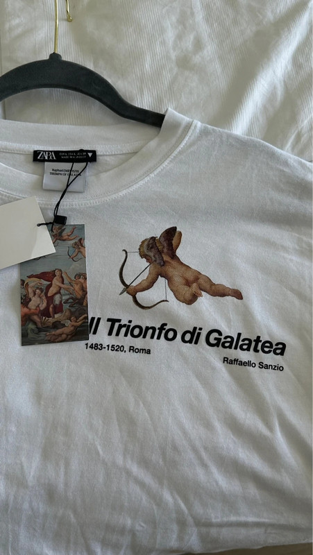 Long sleeved t shirt Trionfo di Galatea ZARA 3
