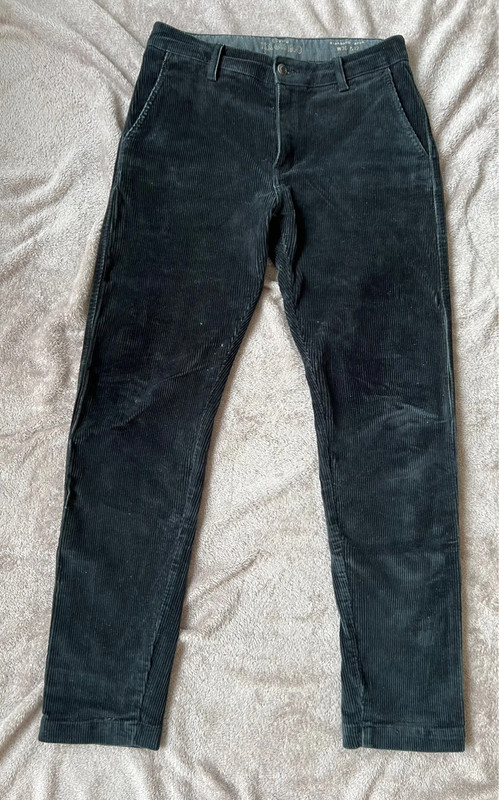 Suède rib Chino Levi's  1