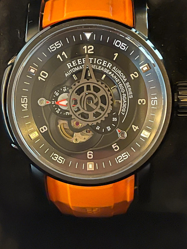 Montre automatique Reef Tiger Vinted