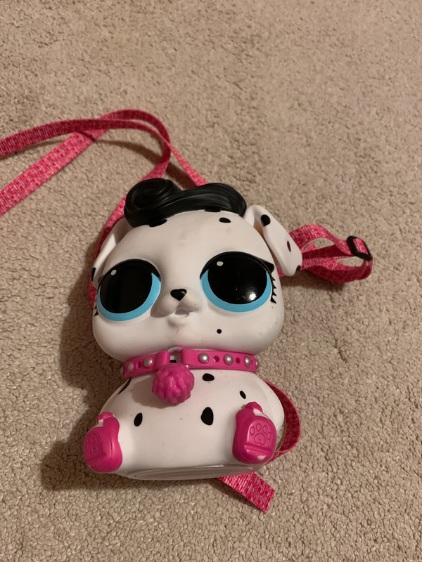 Lol biggie pet backpack cheap