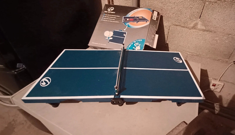 Table Ping Pong pliable