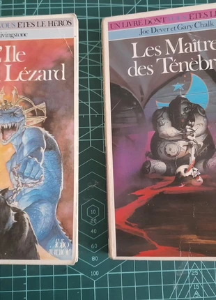 Deux livres de la saga Un livre où vous êtes le héros du folio junior, état: Bon état, 40,00 €, 42,70 € Protection acheteurs incluse