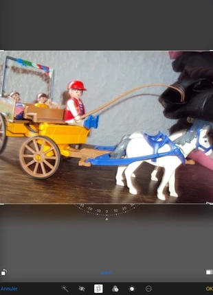 Caleche Playmobil , marca: Playmobil, estado: Bueno, tamaño: 4 años / 104 cm, 22,00 €, 23,80 € Protección al comprador incluida