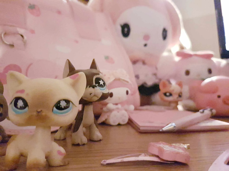 cutetoysandclothes - fotografia de profil