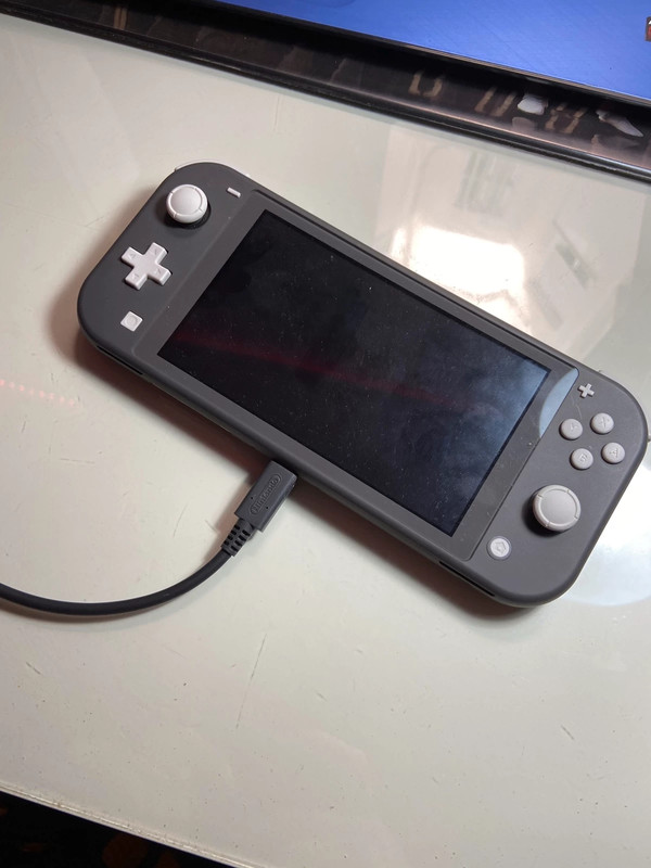 Console De Jeux NINTENDO Switch Lite - Gris