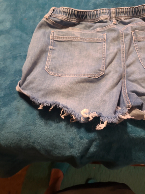 American Eagle Stretch Shorts 3