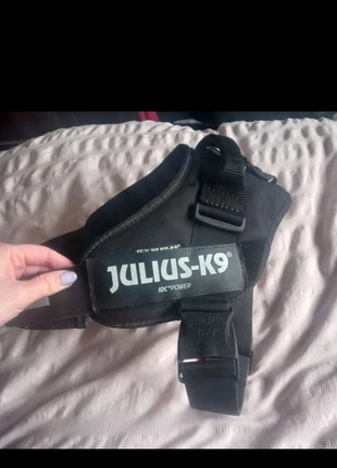 Julius-k9 power harness XL/2, marque: Julius-K9, état: Bon état, taille: Autre, 10,00 €, 11,20 € Protection acheteurs incluse