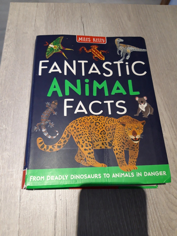 Fantastic animal facts book - Vinted