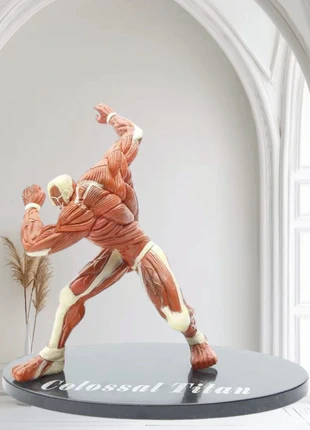 Attack on Titan Gigante Colossale Action Figure 15 cm, marque: Attack On Titan, état: Neuf sans étiquette, taille: 5 ans / 110 cm, 18,40 €, 20,02 € Protection acheteurs incluse