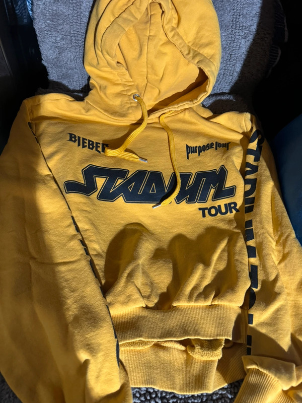 Justin Bieber Stadium Purpose tour cropped hoodie sz small Vinted