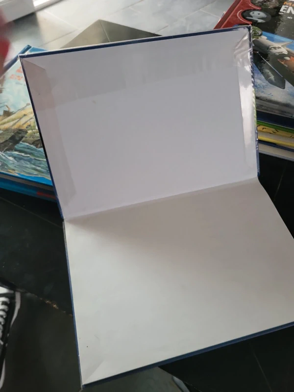Livre miroir CE2. - photo numéro 3