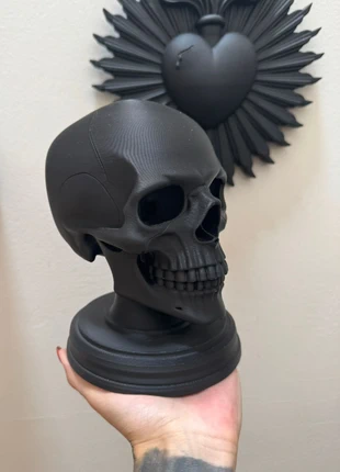 Small Skull on Pedestal Gothic Anatomy Style Dark Academia, marca: EternalScream, estado: Nuevo sin etiquetas, 20,00 €, 21,70 € Protección al comprador Pro incluida