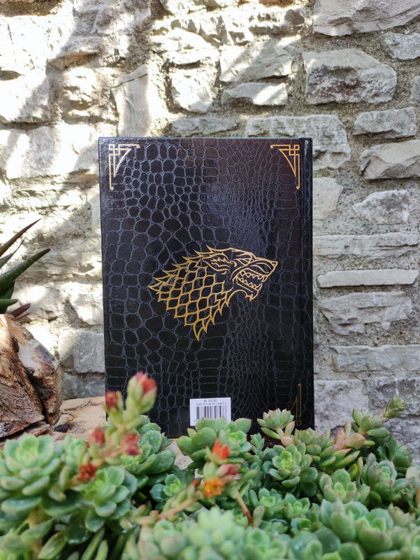 Il Trono di Spade, Libro Primo EdizionePelle di Drago{Vol.1}Game of  Thrones, Un gioco di Troni GOT