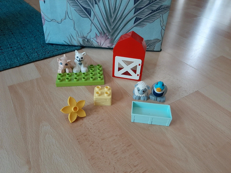 Lego Duplo Set | Bauernhof Vinted dem Tierpflege auf