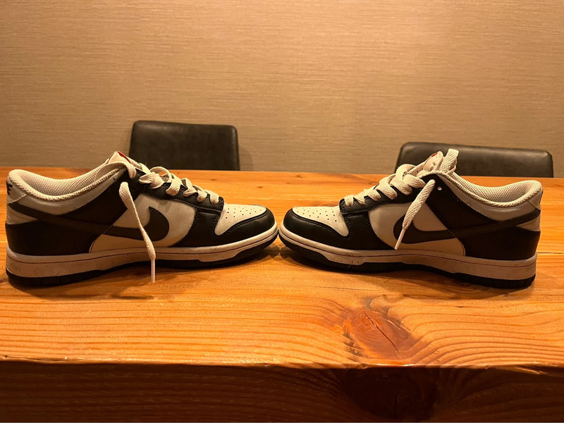 Nike dunk schoenen 1