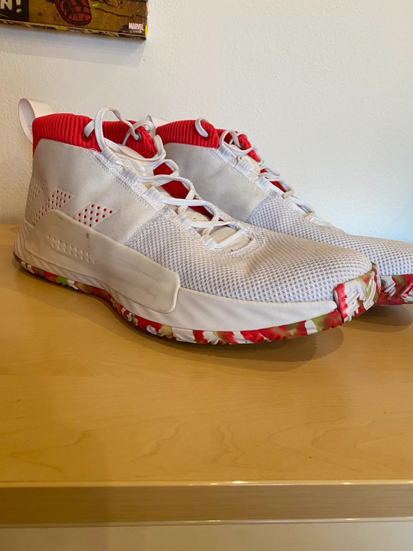 Adidas velikost 50 online