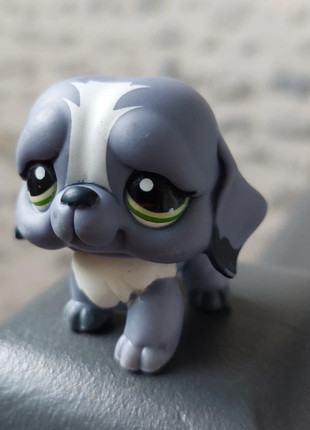 Pet shop Chien St bernard, marque: Littlest Pet Shop, état: Bon état, taille: Taille unique, 2,00 €, 2,80 € Protection acheteurs incluse