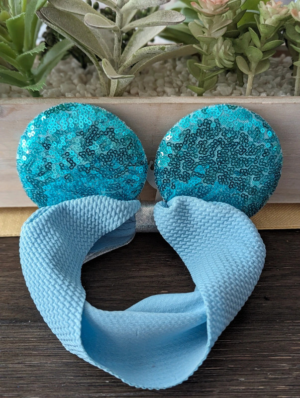 Disney Baby Handmade Cinderella Ears 3