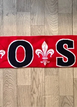 Écharpe LOSC, marke: LOSC, zustand: Sehr gut, 15,00 €, 16,45 € inklusive Vinted-Käuferschutz