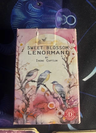 Lenormand  fleurs 🌸 et papillon 🦋, merk: JEU, staat: Veelgebruikt, € 5,00, € 5,95 inclusief Kopersbescherming